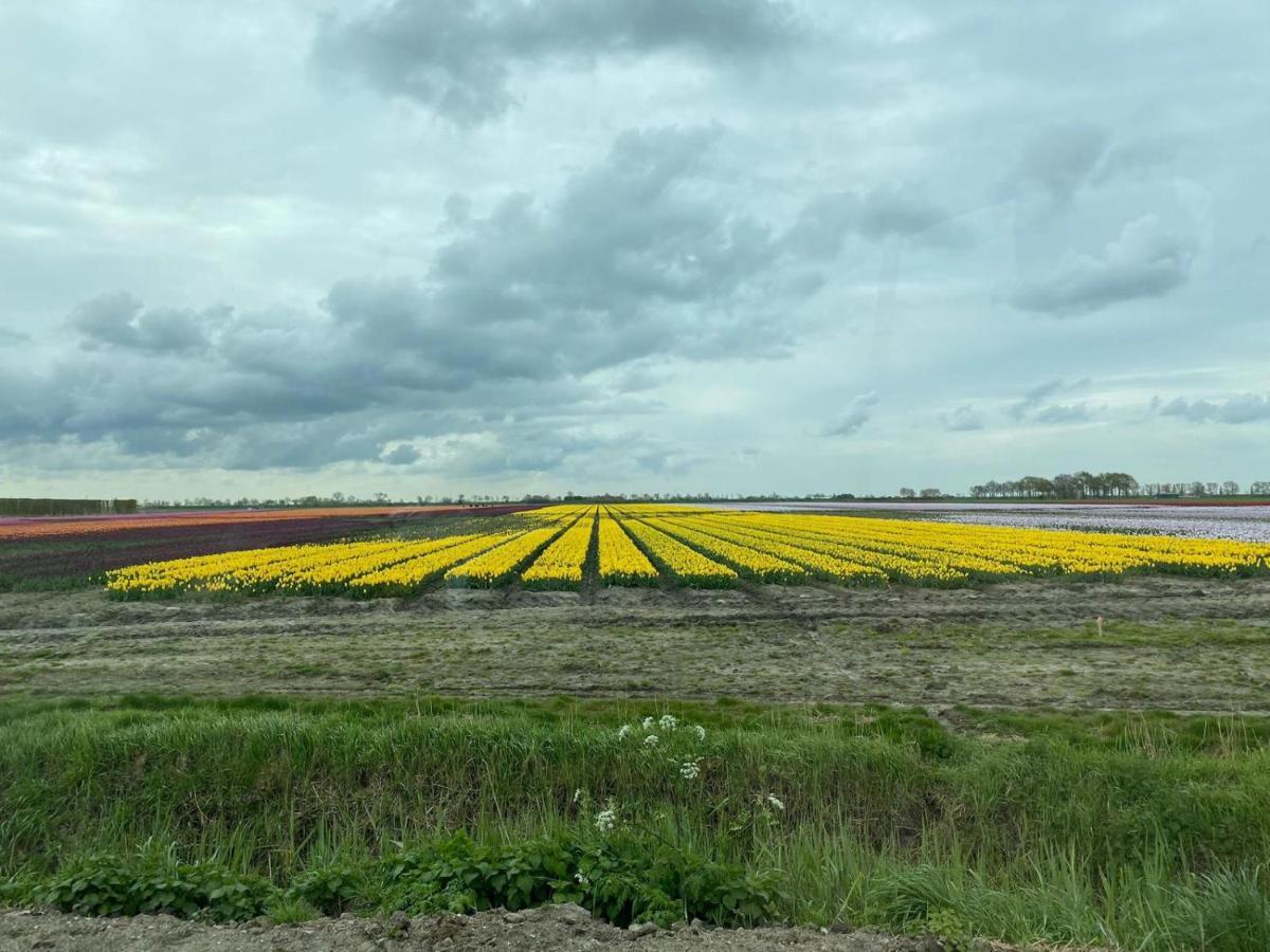 Willa Krabbenkreek 2 Sint Annaland Zewnętrze zdjęcie