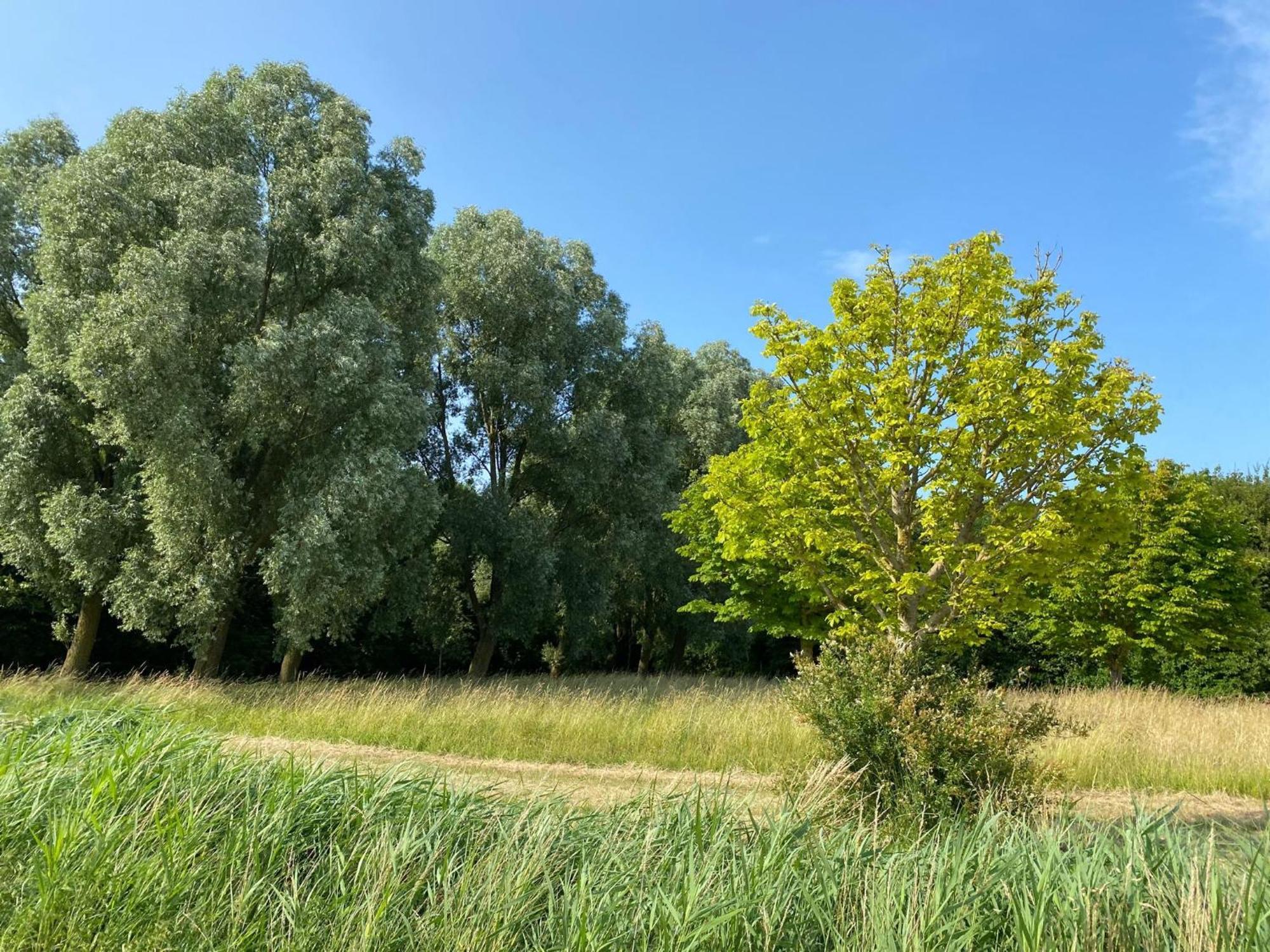 Willa Krabbenkreek 2 Sint Annaland Zewnętrze zdjęcie